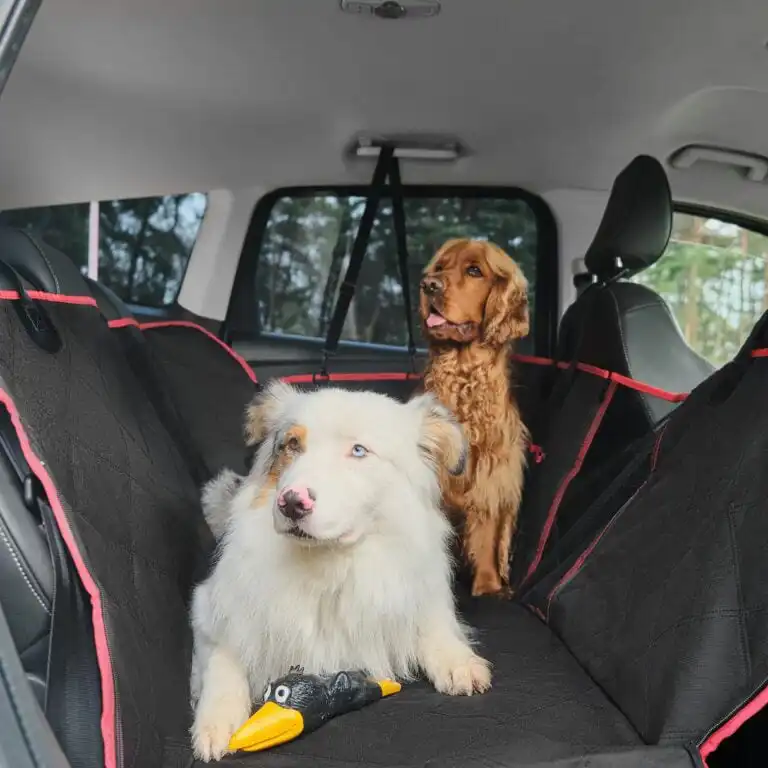 USF Pet Care for Your Car Interior